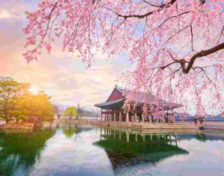 PAKET TOUR KOREA 6D CRAZY SALE CHERRY BLOSSOM KOREA ON 1 APR 2024 BY BATIK AIR (wh51)