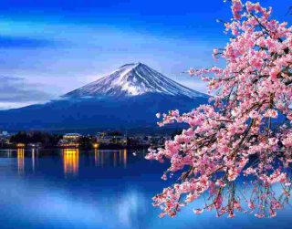 Liburan Ke Jepang 8D6N GOLDEN ROUTE JAPAN Osaka – Kyoto – Gifu – Toyohashi – Gotemba – Fuji - Tokyo 15 – 22 APRIL 2024 By Philippine Airlines (WH42) 