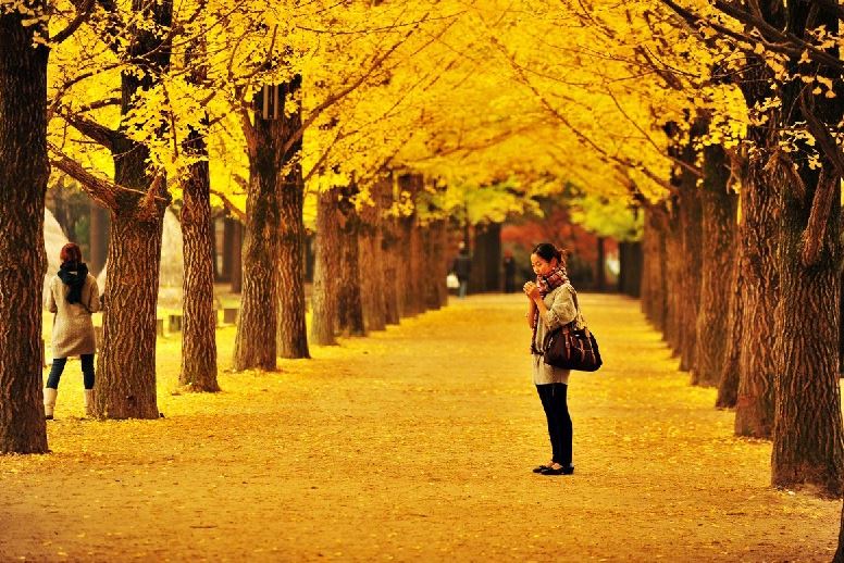 Liburan Bersama Paket Tour Korea 2024, Destinasi Lengkap dan Populer